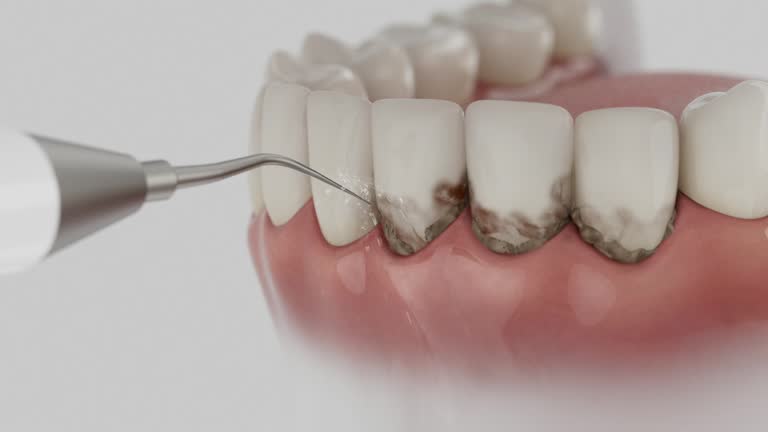 Reliable Dental contractor in Palmyra, NJ by Dentist Open Now